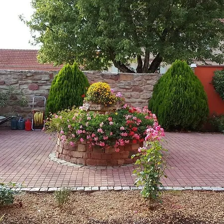 Le 'humulus' * Bilwisheim