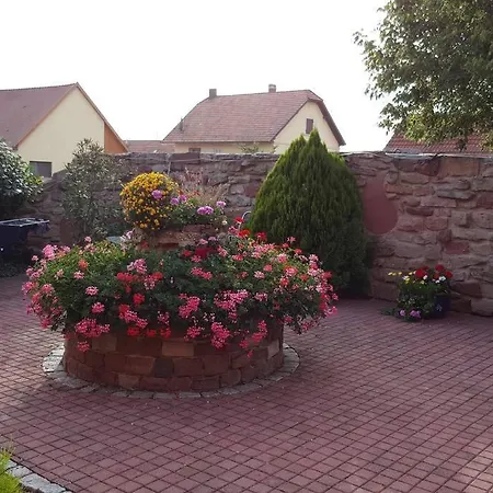 Le 'humulus' Bilwisheim