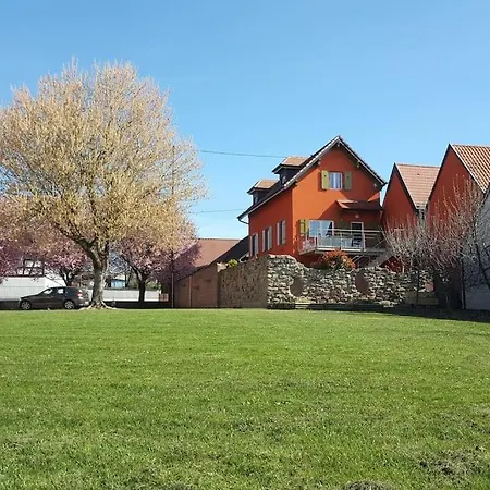 Le 'humulus' Bilwisheim