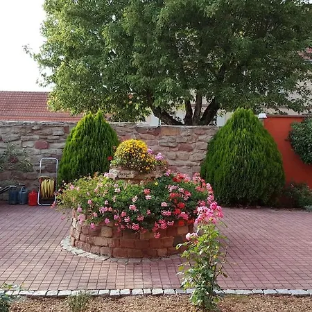 Le 'humulus' * Bilwisheim