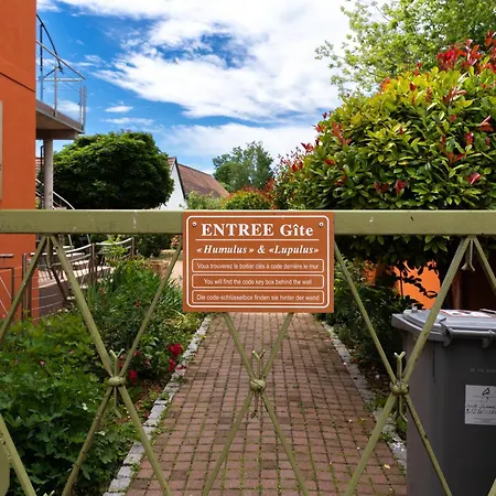 Le 'humulus' Apartment *