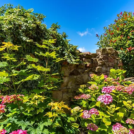 Le 'humulus' Appartamento Bilwisheim